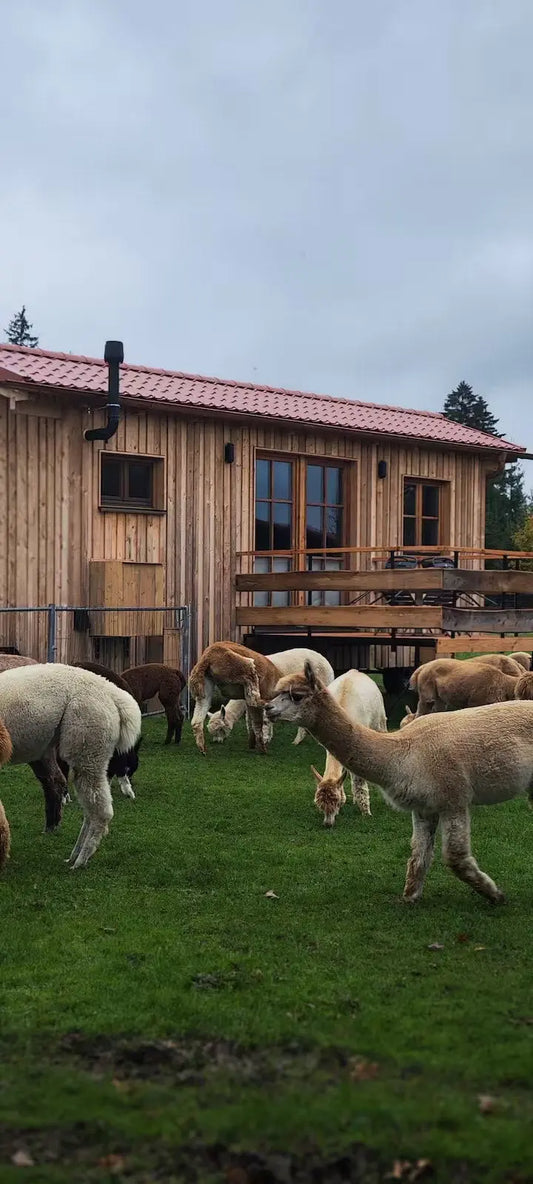 Alpaka Chalet - Alpenalpakas