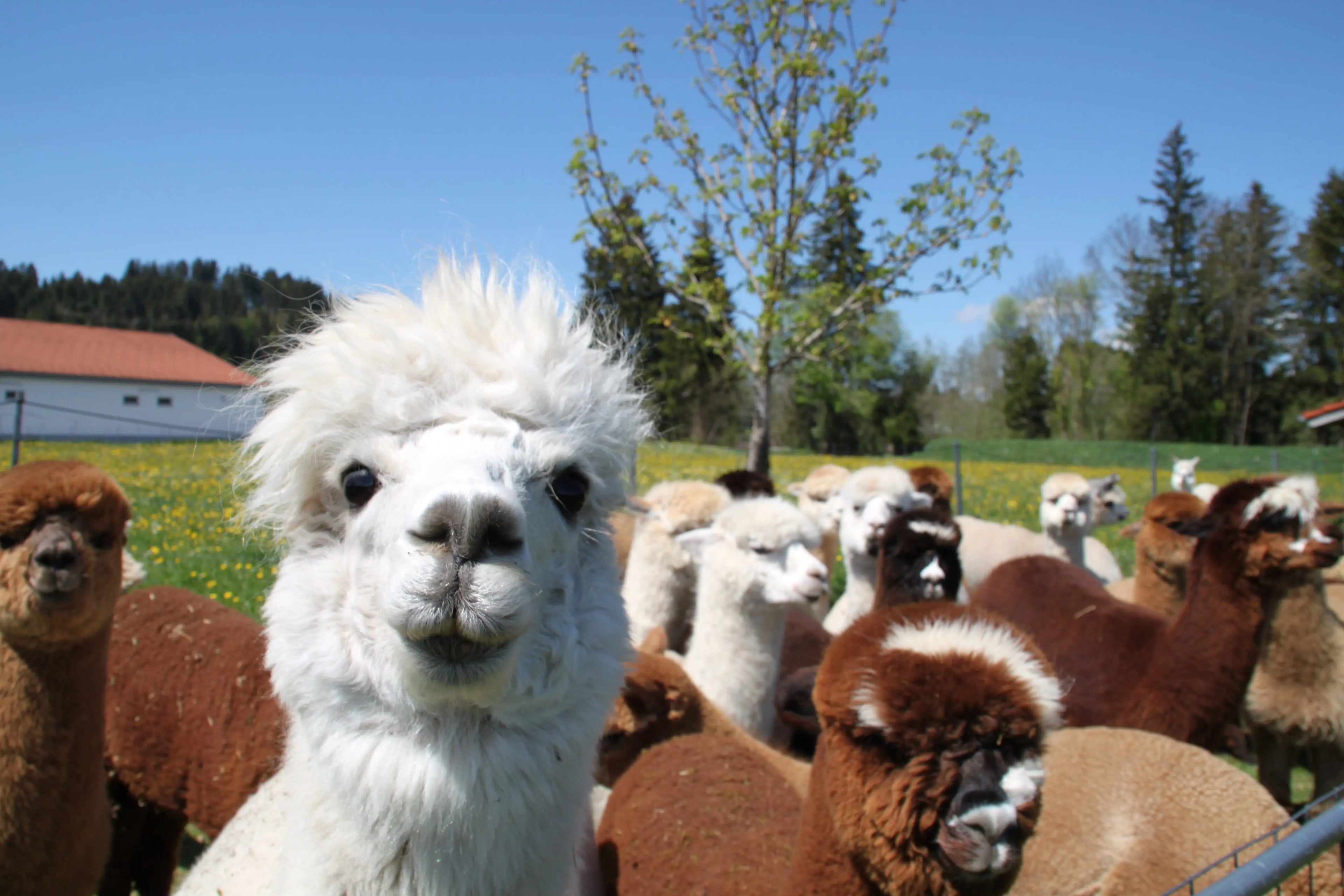 Privattour für 2 Personen 2,5h mit Brotzeit Mein Shop