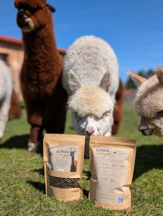 Alpaka-Dünger – das „Gold der Anden“