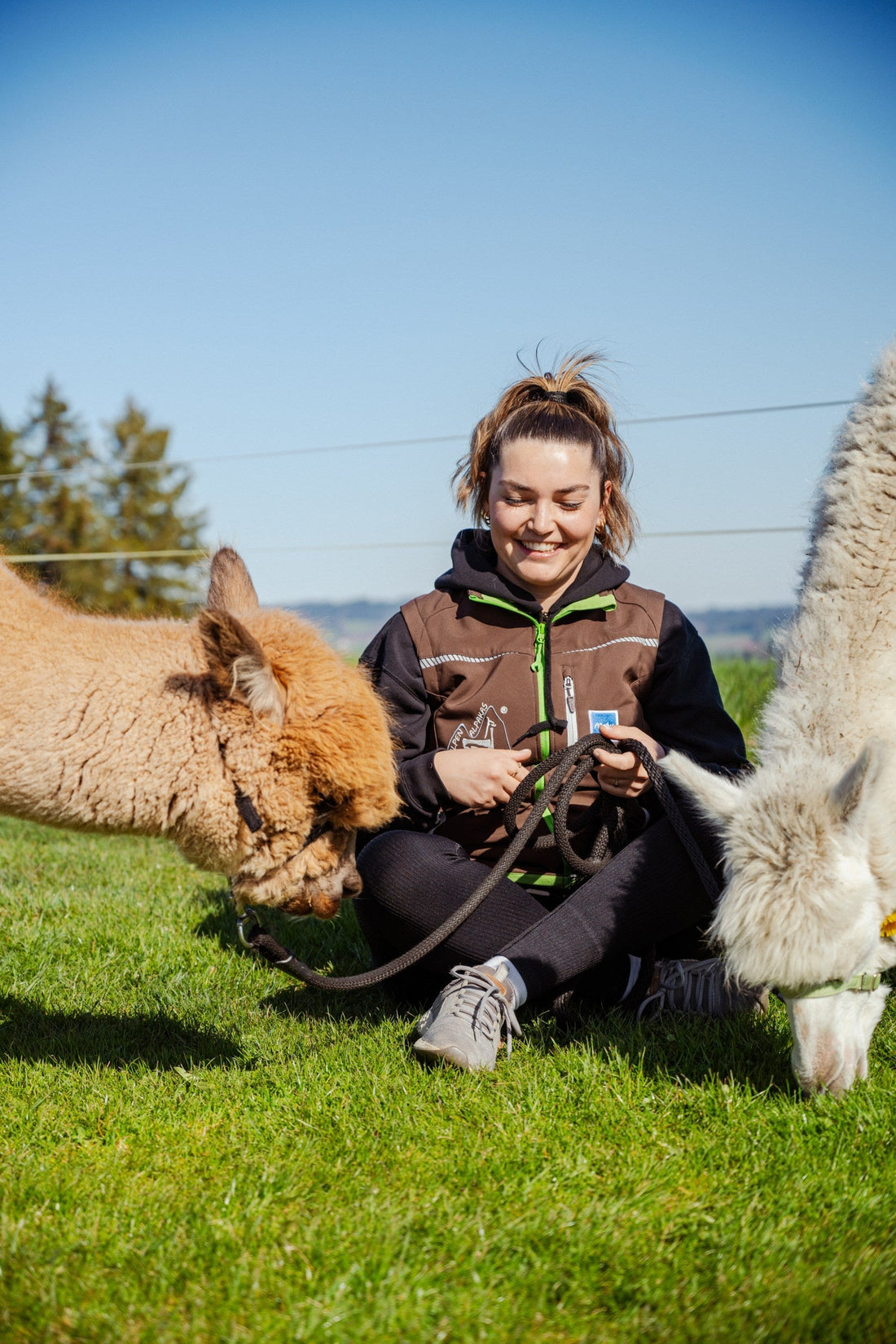 Warum Natur und Tiere gegen Stress helfen