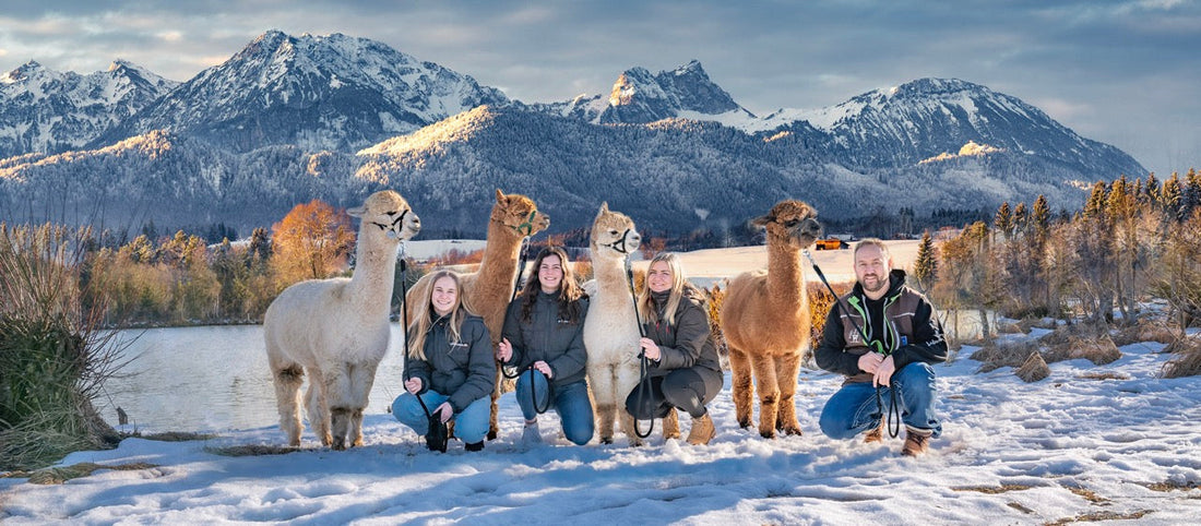 Alpaka Wanderung im Allgäu – zu jeder Jahreszeit ein Erlebnis