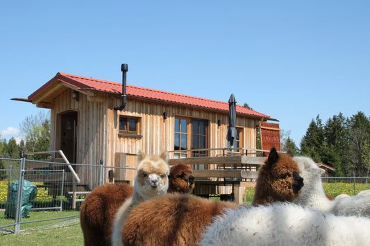 Tiny House im Allgäu – warum diese Auszeit besonders ist