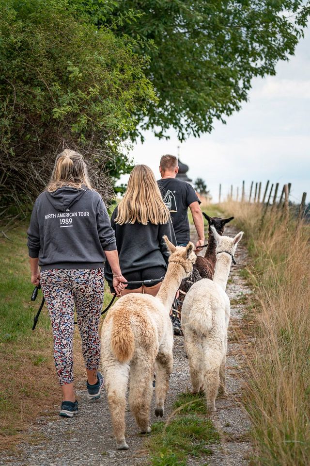 Alpaka Wanderung 2h + Picknick