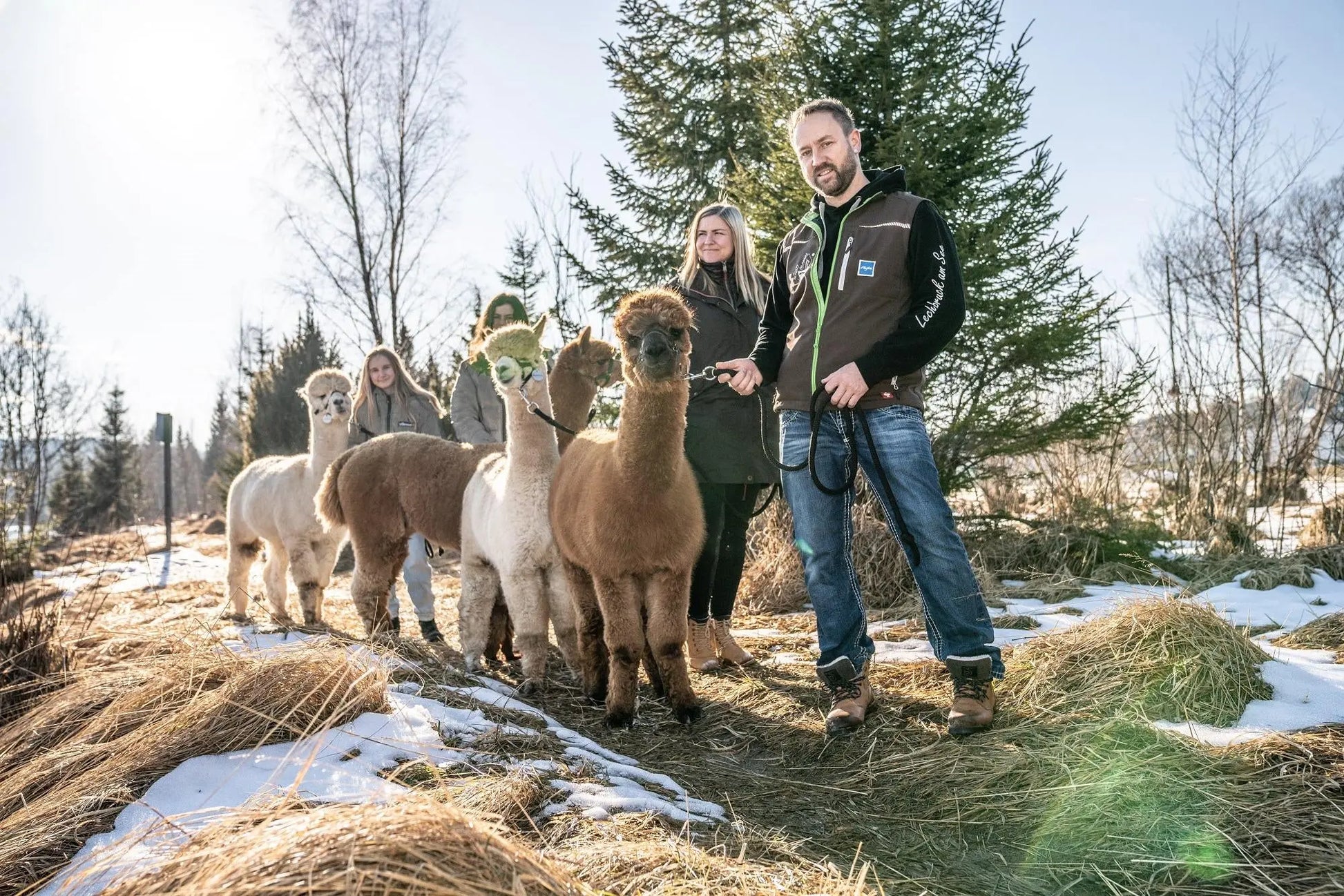 Alpaka Wanderung 2,5h + Picknick Mein Shop