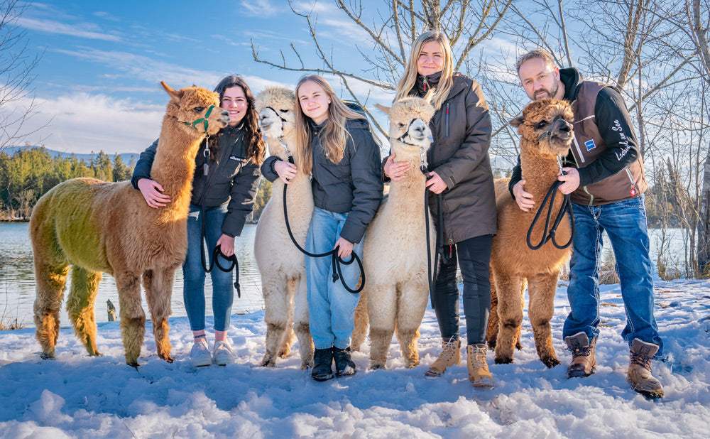 Ein Gruppenbild bei einer Winterwanderung mit unseren Alpakas